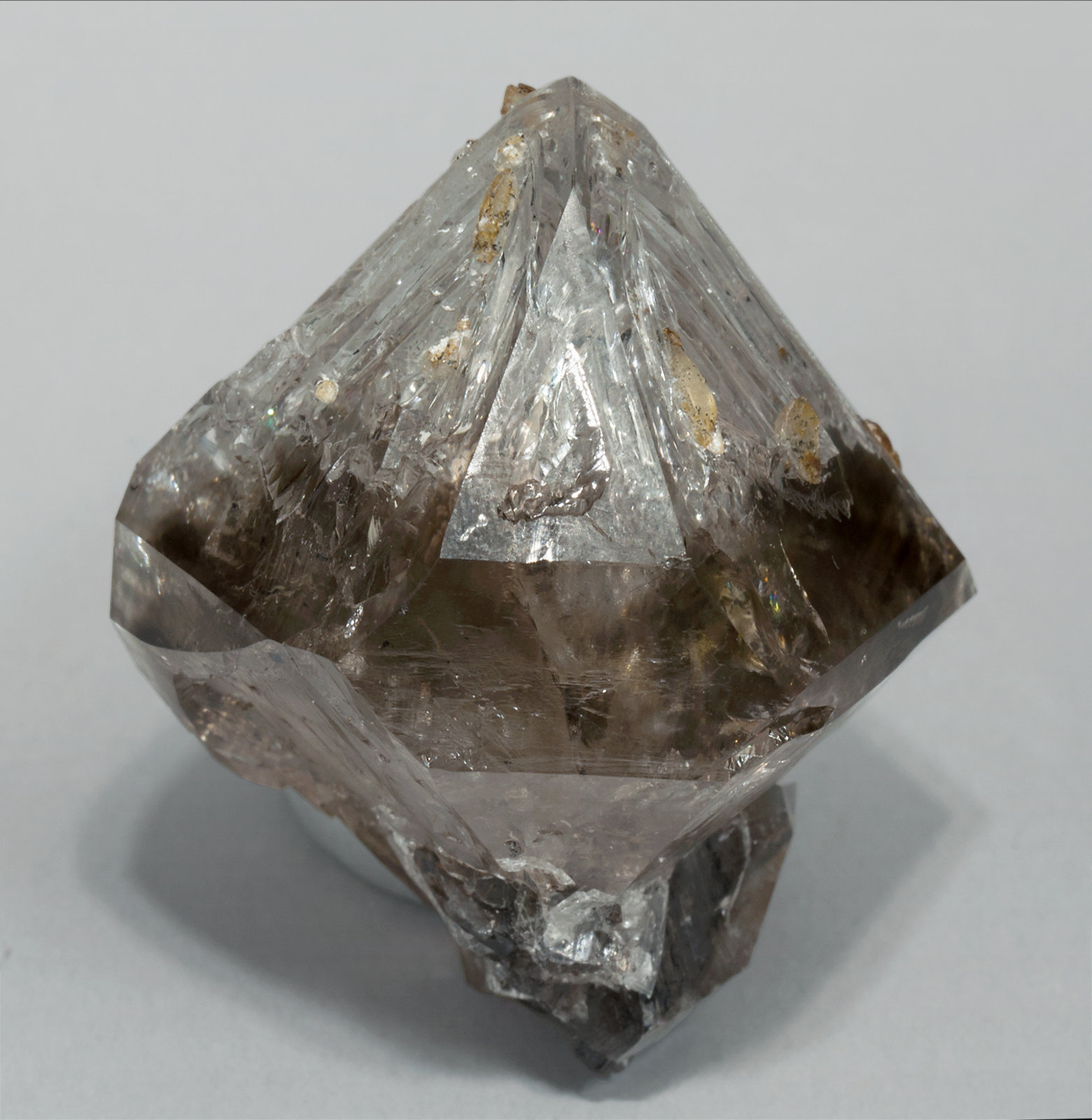 specimens/s_imagesX4/Quartz_Smoky-TF96X4r.jpg