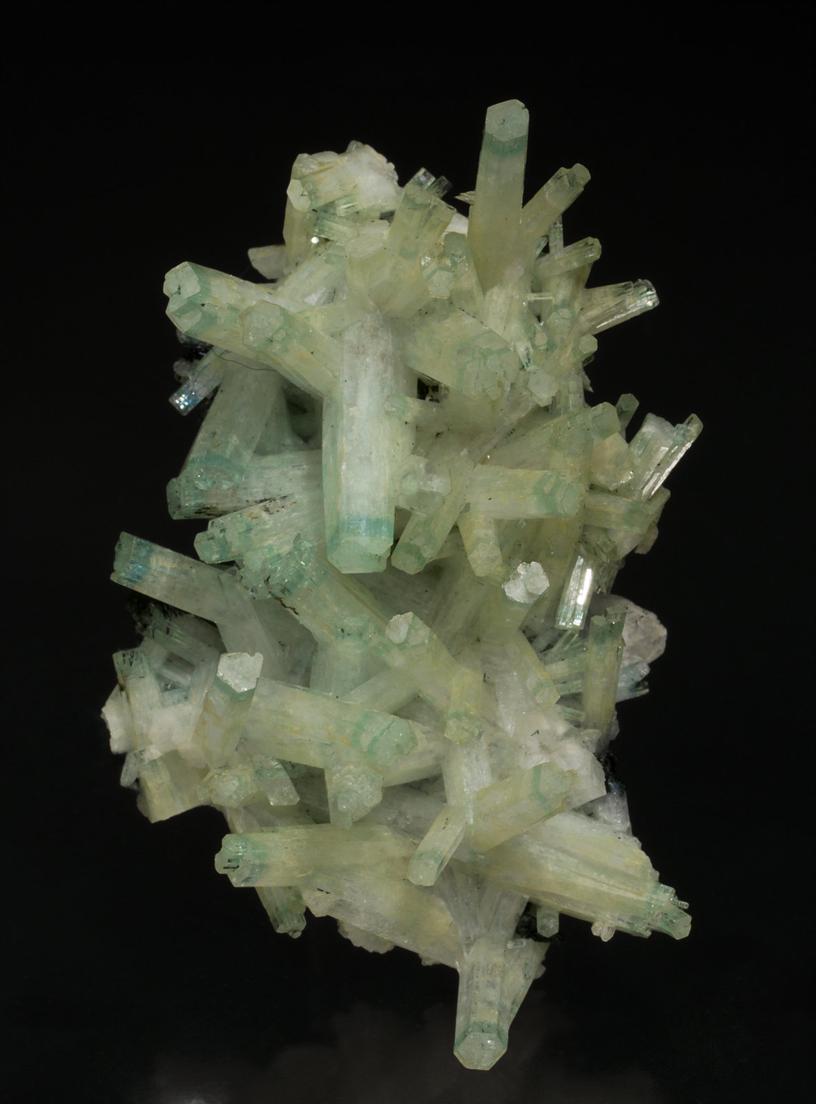 specimens/s_imagesX5/Beryl-TE8X5f.jpg