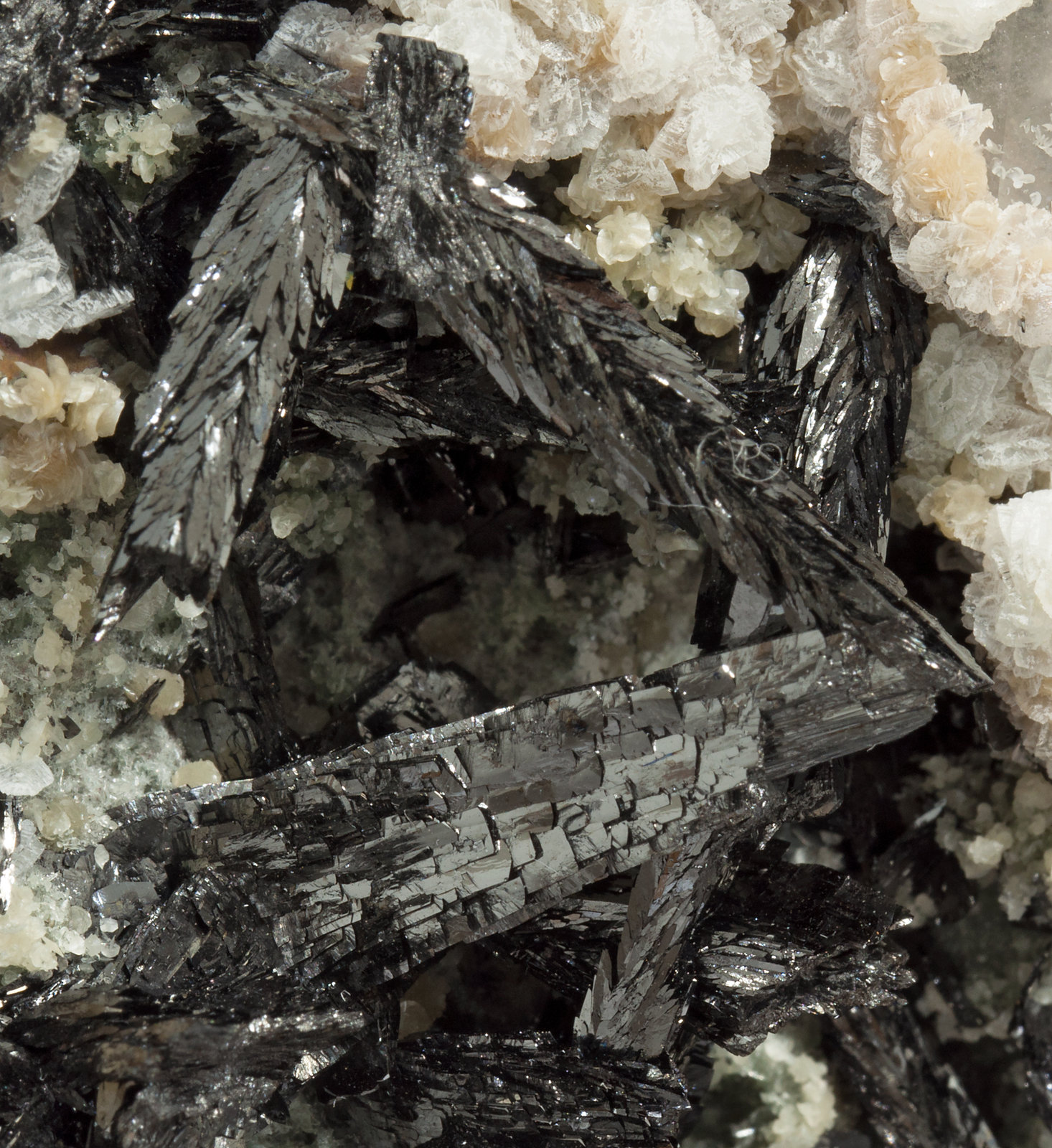 specimens/s_imagesX5/Ferberite-MB68X5d.jpg