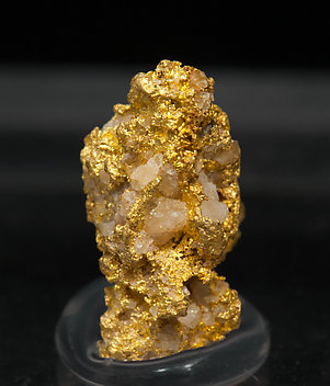 Gold with Quartz. 