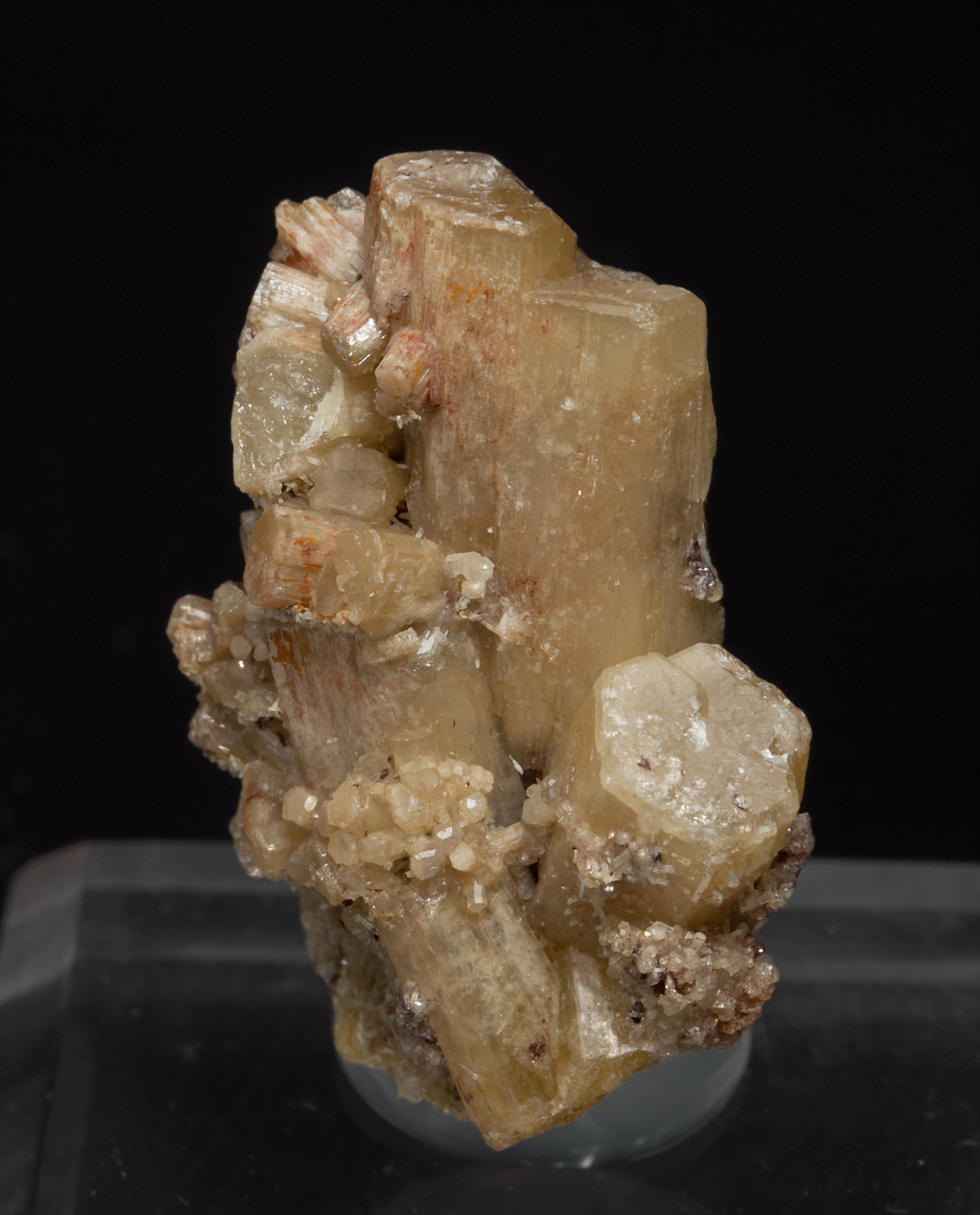 specimens/s_imagesX5/Mimetite-ER56X5f.jpg