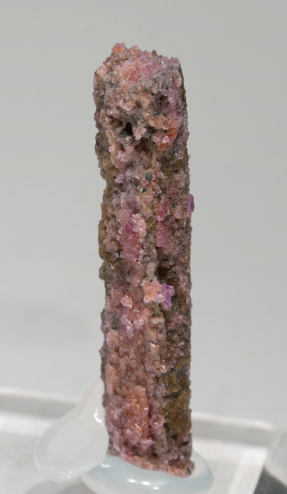 specimens/s_imagesX5/Painite-TX71X5r.jpg