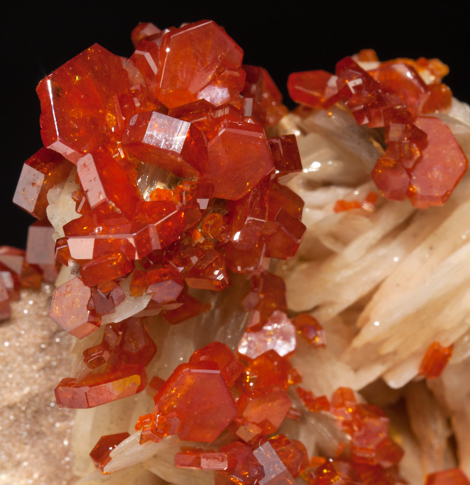 specimens/s_imagesX5/Vanadinite-JC98X5d.jpg