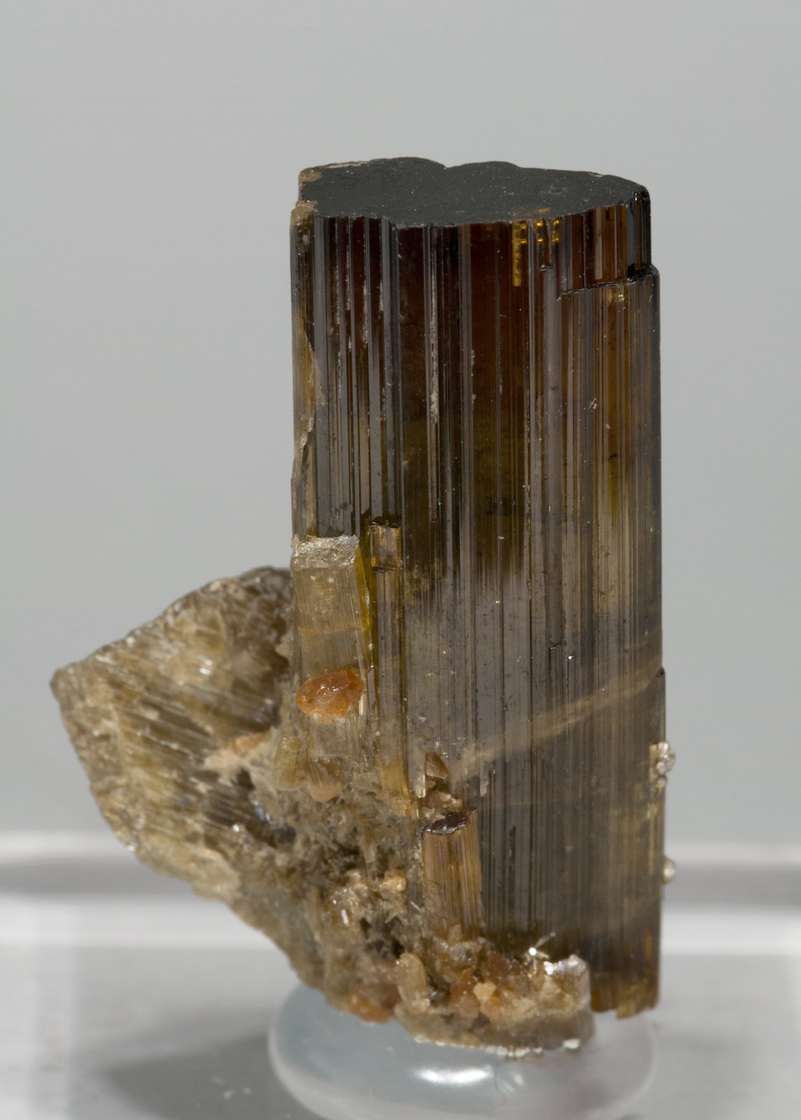 specimens/s_imagesX5/Vesuvianite-MH47X5f2.jpg