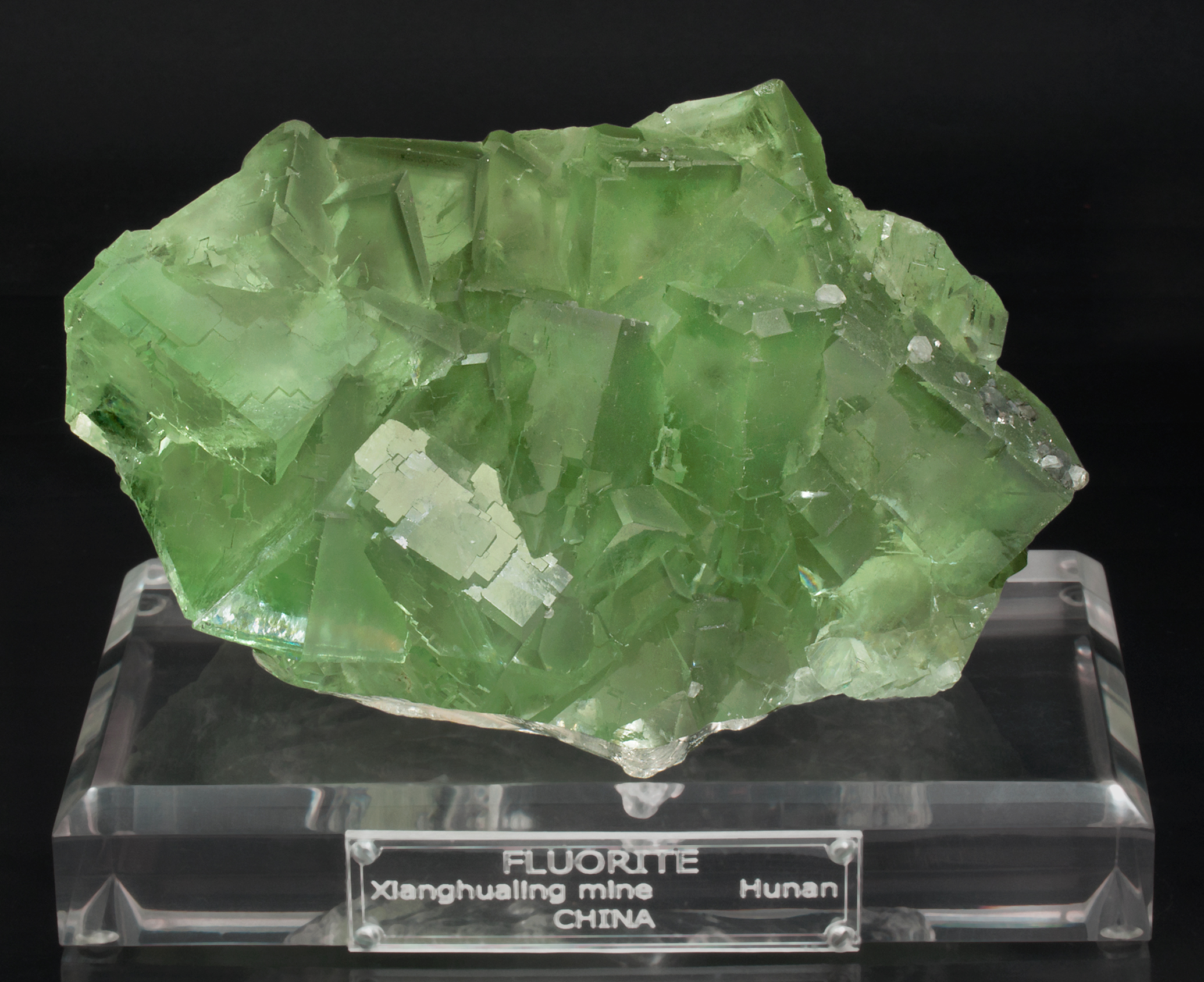 specimens/s_imagesX6/Fluorite-TM16X6f.jpg