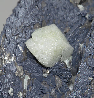 Löllingita con Molibdenita, Scheelita, Fluorita y Magnetita.
