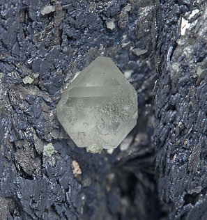 Löllingite with Molybdenite, Scheelite, Fluorite and Magnetite. 