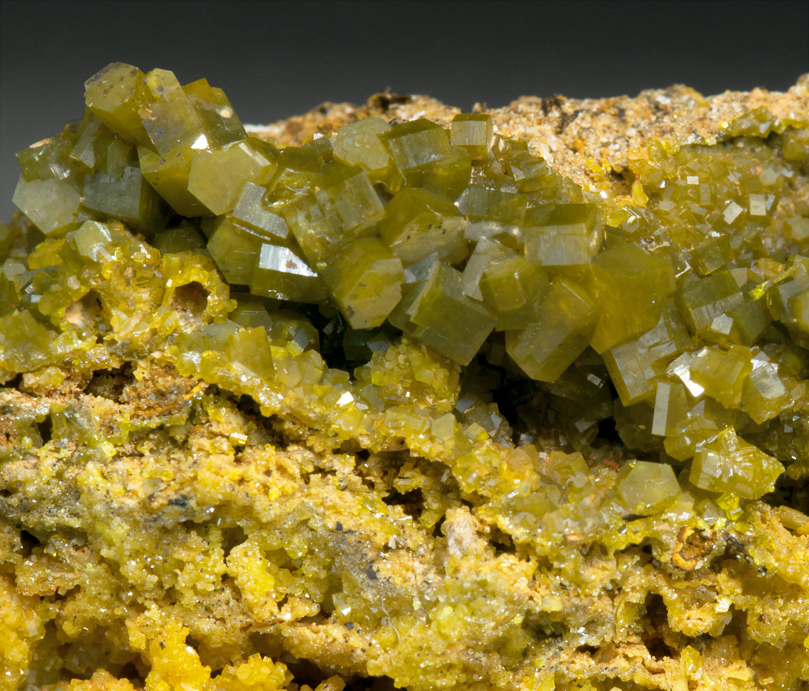 specimens/s_imagesX6/Pyromorphite-ND63X6d.jpg