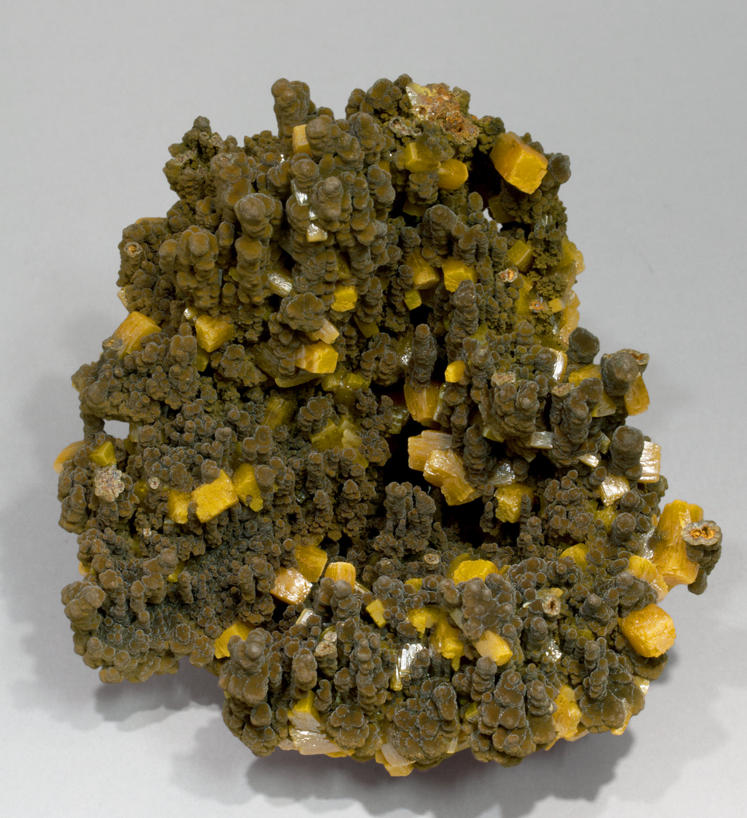 specimens/s_imagesX6/Wulfenite-TA87X6f.jpg