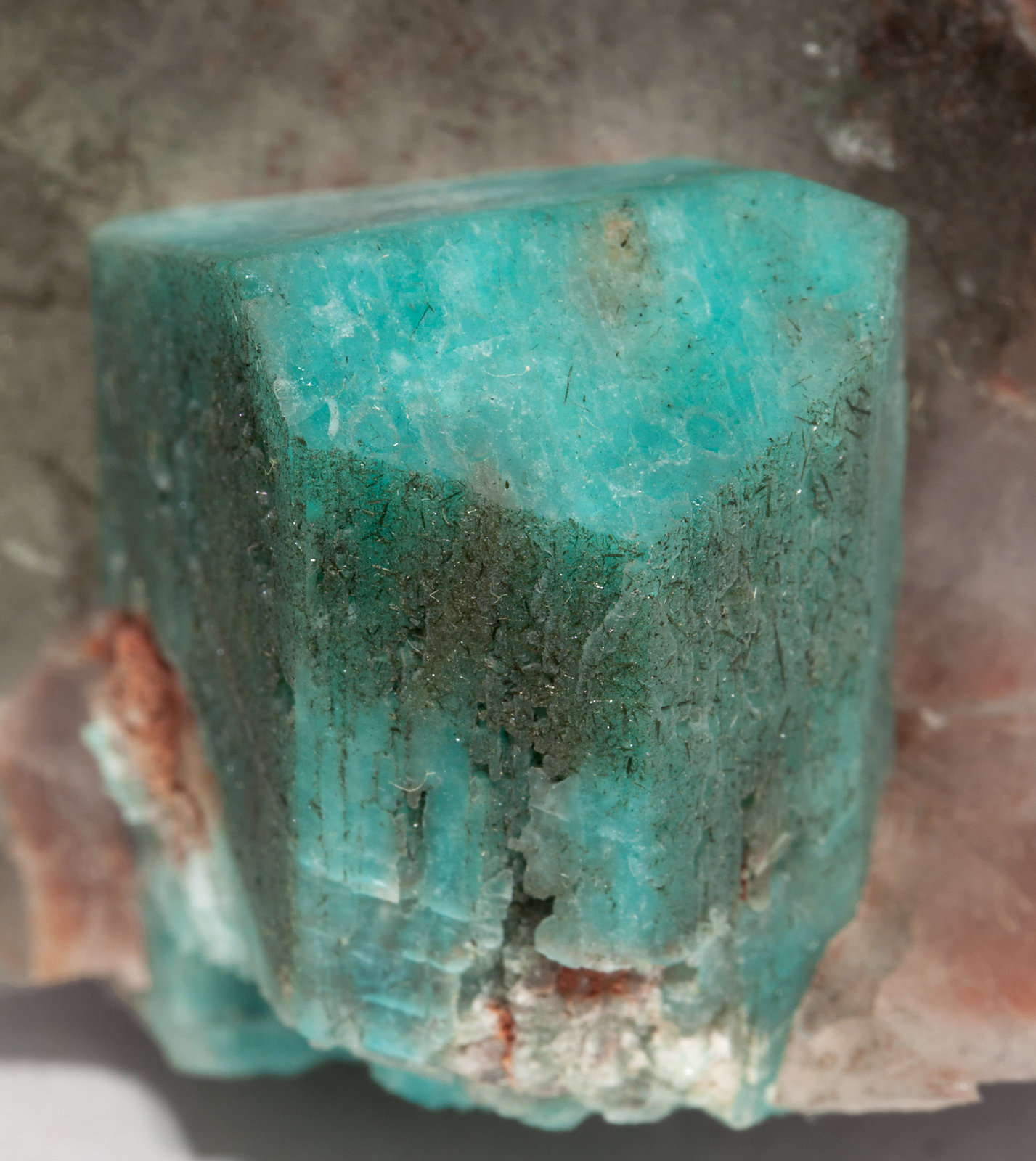 specimens/s_imagesX7/Amazonite-T96FKX7d2.jpg