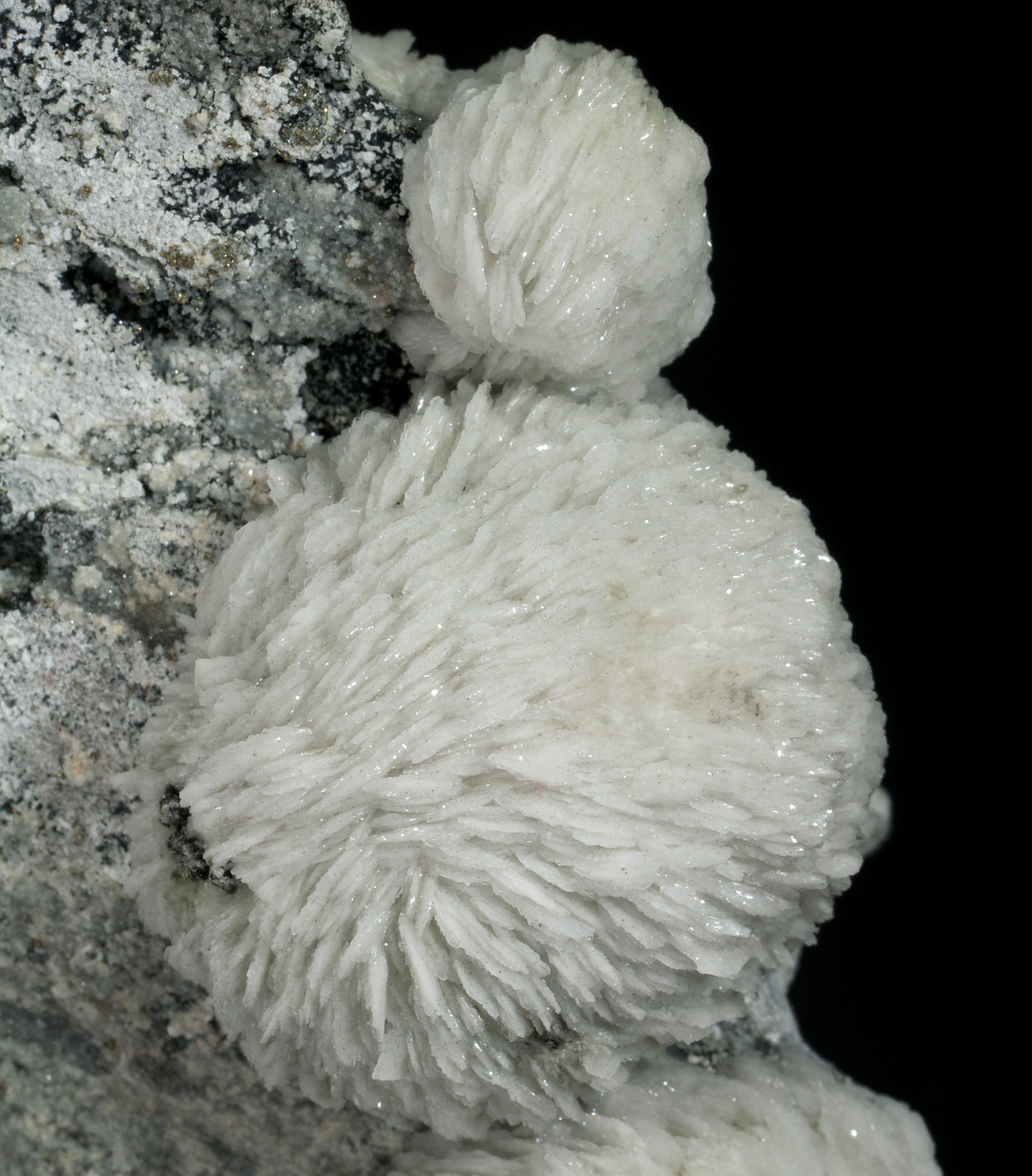 specimens/s_imagesX7/Barite-CG12X7d.jpg