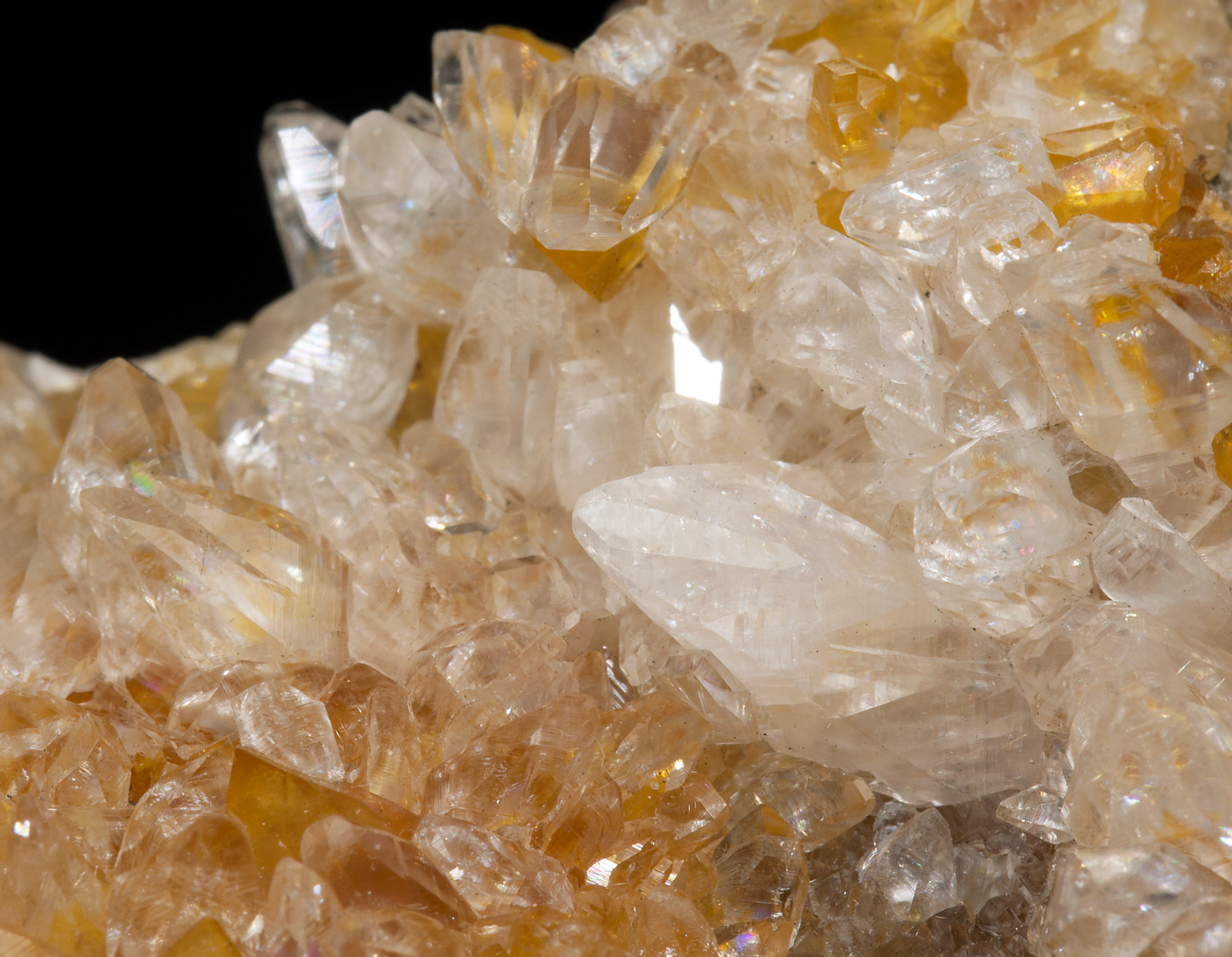 specimens/s_imagesX7/Calcite-T13RAX7d.jpg