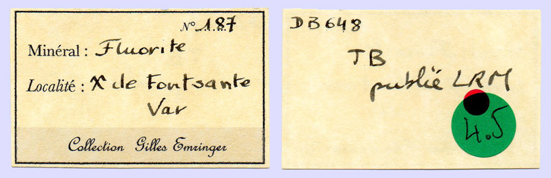 specimens/s_imagesX7/Fluorite-TC49X7e.jpg