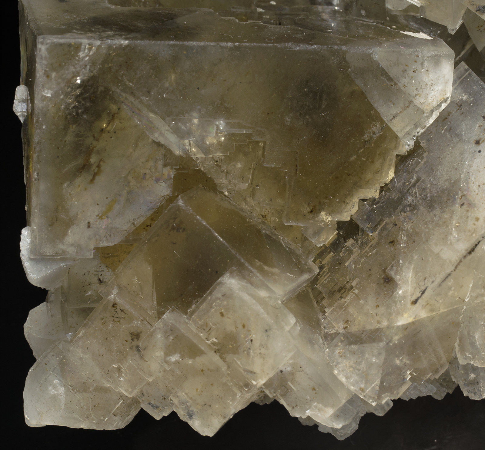 specimens/s_imagesX7/Fluorite-TP89X7d.jpg