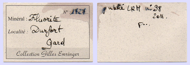 specimens/s_imagesX7/Fluorite-TP89X7e.jpg