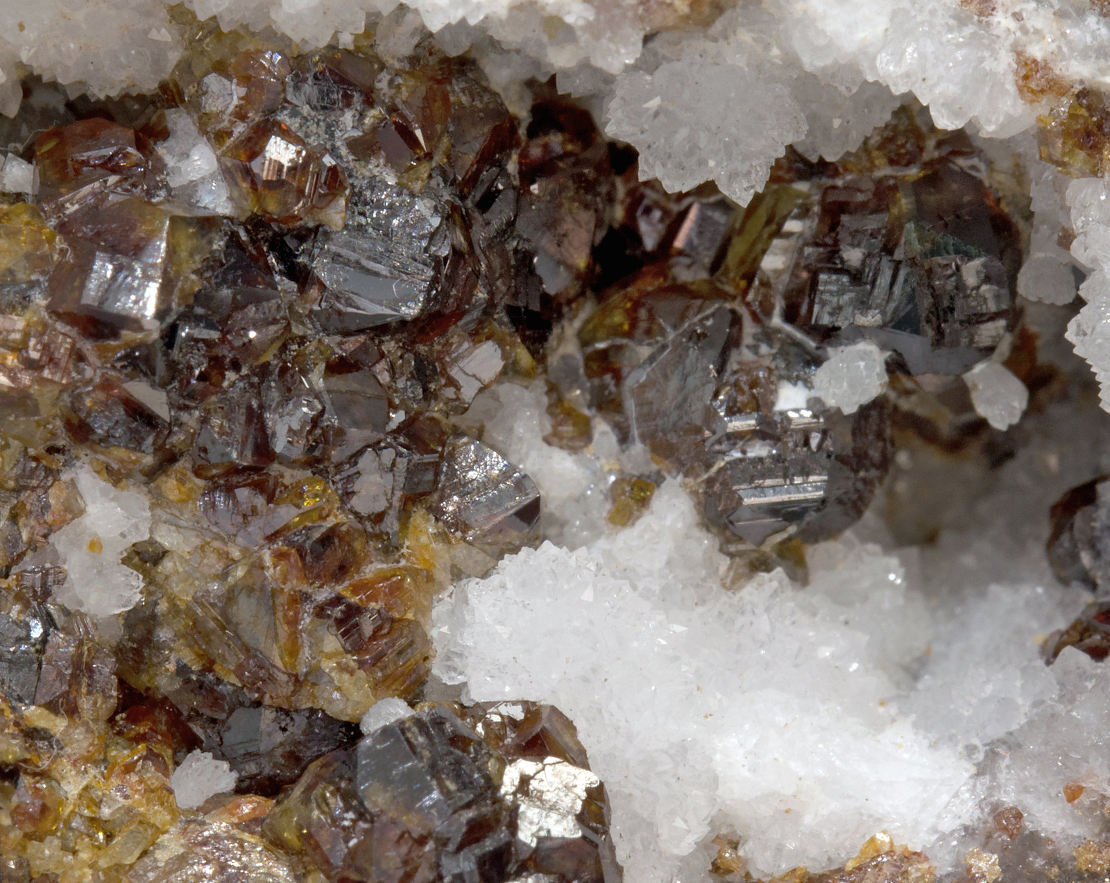 specimens/s_imagesX7/Sphalerite-ND10X7d.jpg