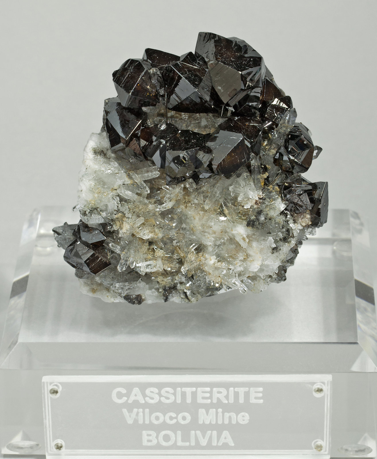specimens/s_imagesX8/Casiterite-MT99X8f.jpg