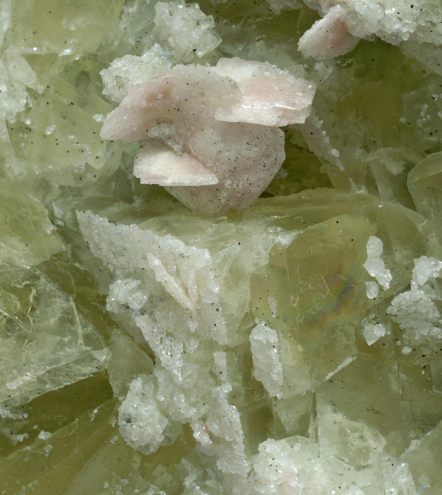 specimens/s_imagesX8/Fluorite-RF46X8d.jpg