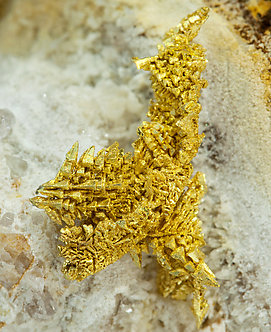 Gold with Quartz. 