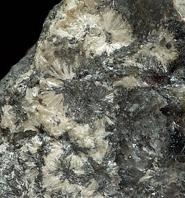 Kermesite with Valentinite and Calcite. 