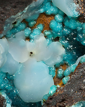 Cuprian Adamite with Smithsonite. 