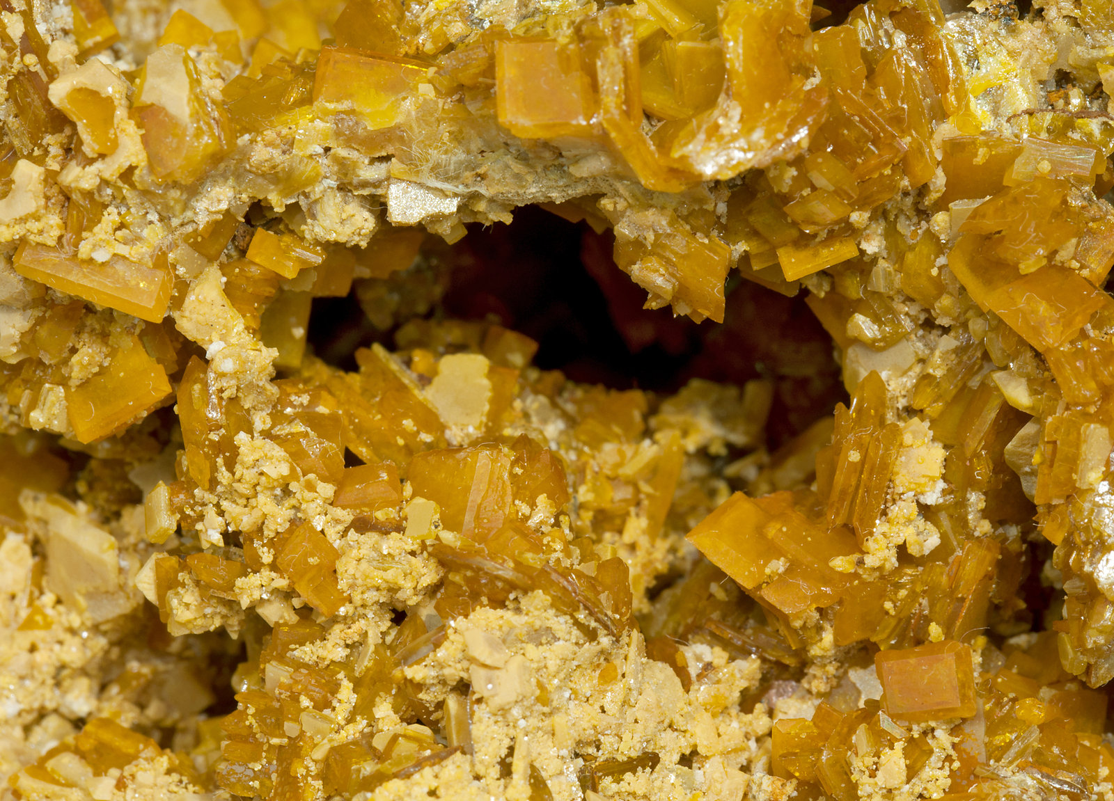 specimens/s_imagesX8/Wulfenite-RT63X8d.jpg