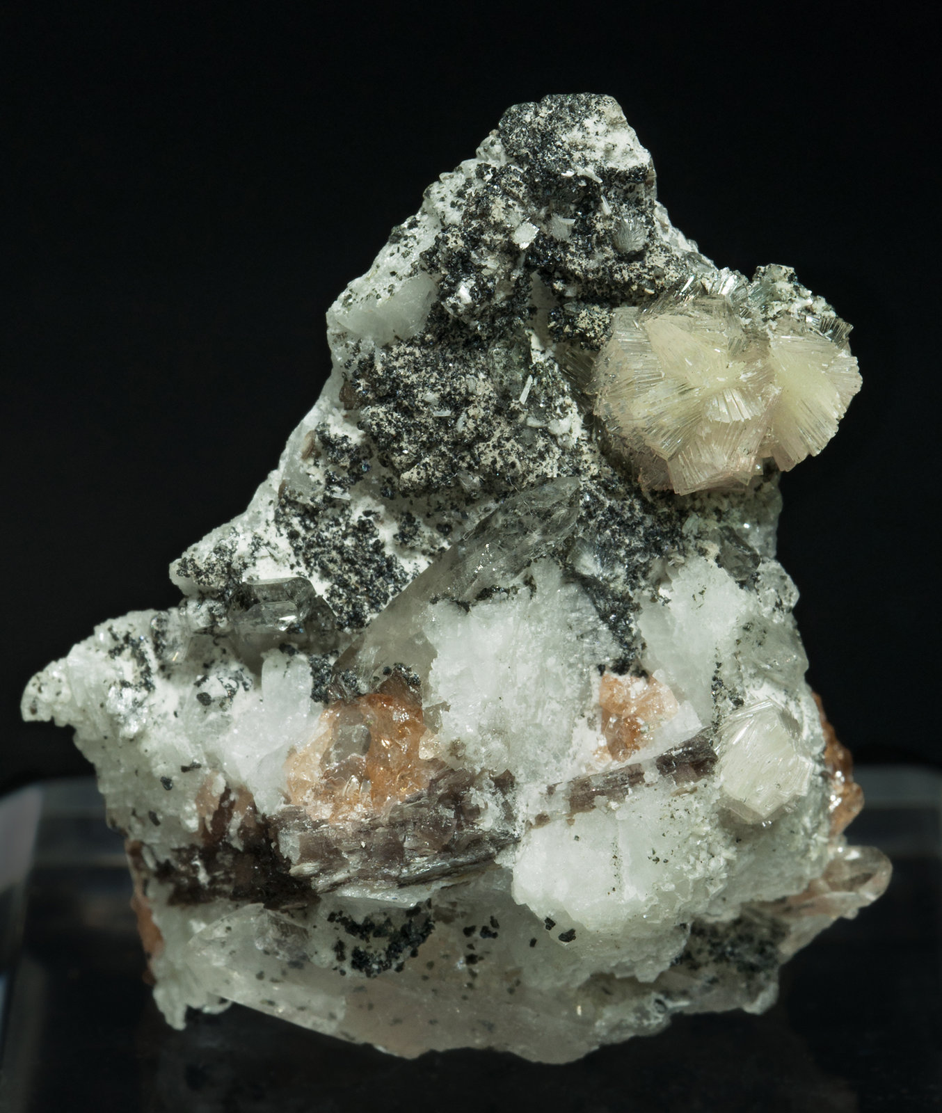 specimens/s_imagesX9/Bavenite-NB26X9f.jpg