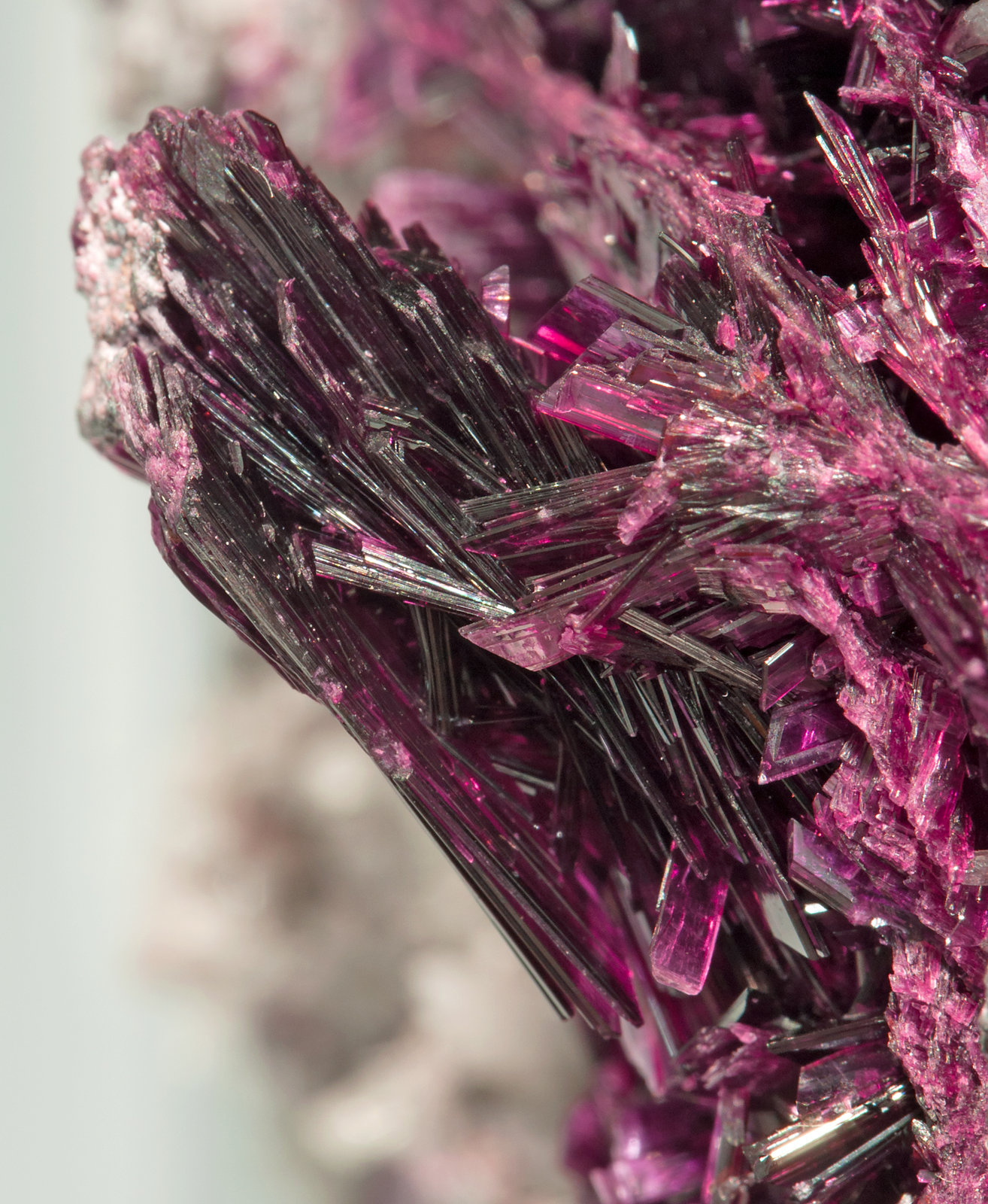 specimens/s_imagesX9/Erythrite-JM46X9d1.jpg