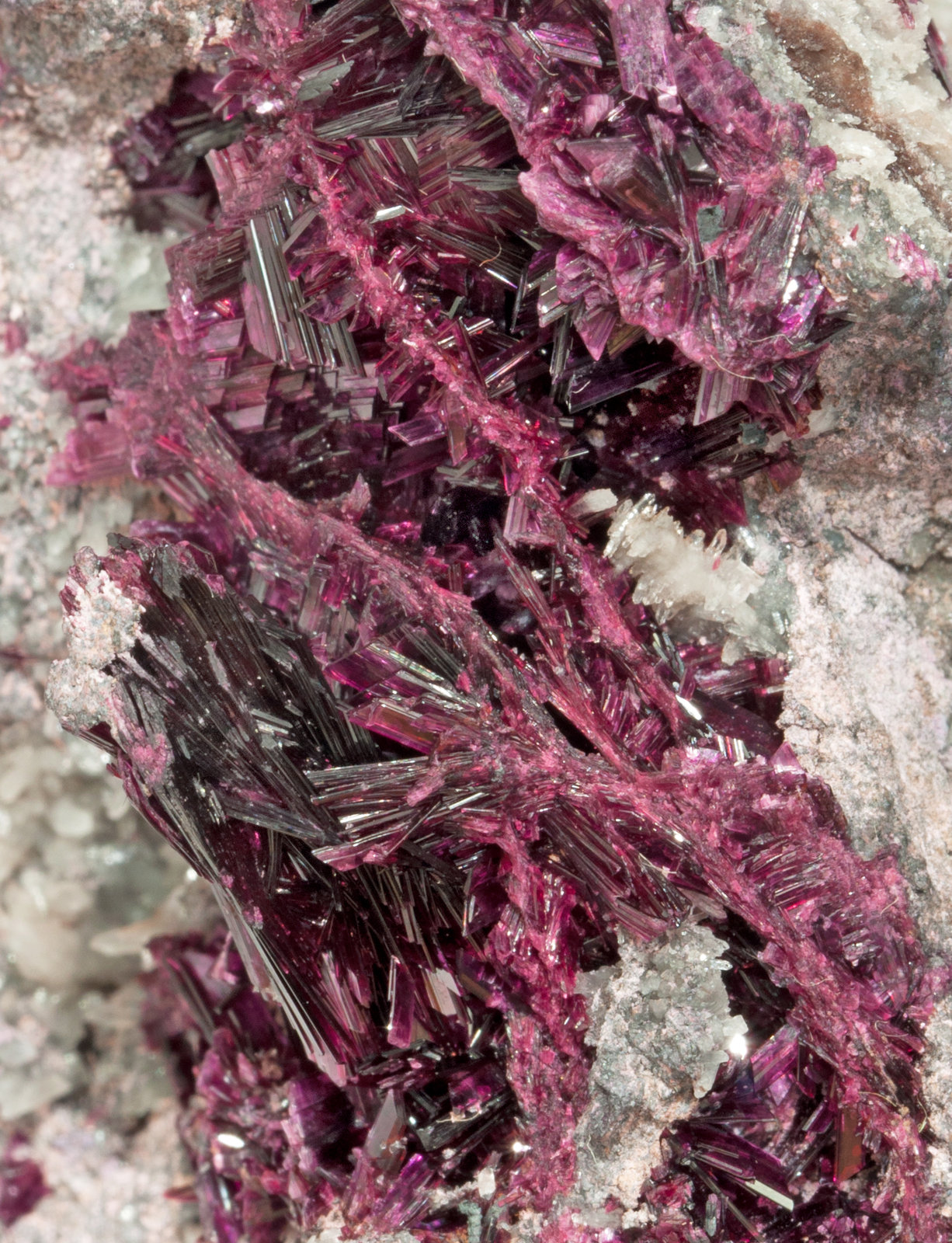 specimens/s_imagesX9/Erythrite-JM46X9d2.jpg