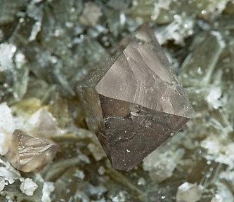 Fluorite with Scheelite, Muscovite and Quartz. 