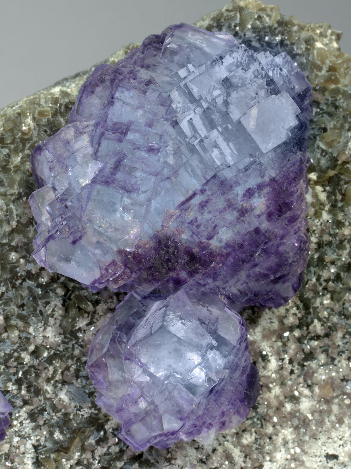 specimens/s_imagesX9/Fluorite-JC46X9d3.jpg