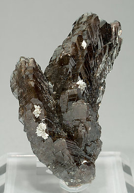 Axinite-(Mn) with Calcite.