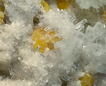 Celestine with Sulfur. 