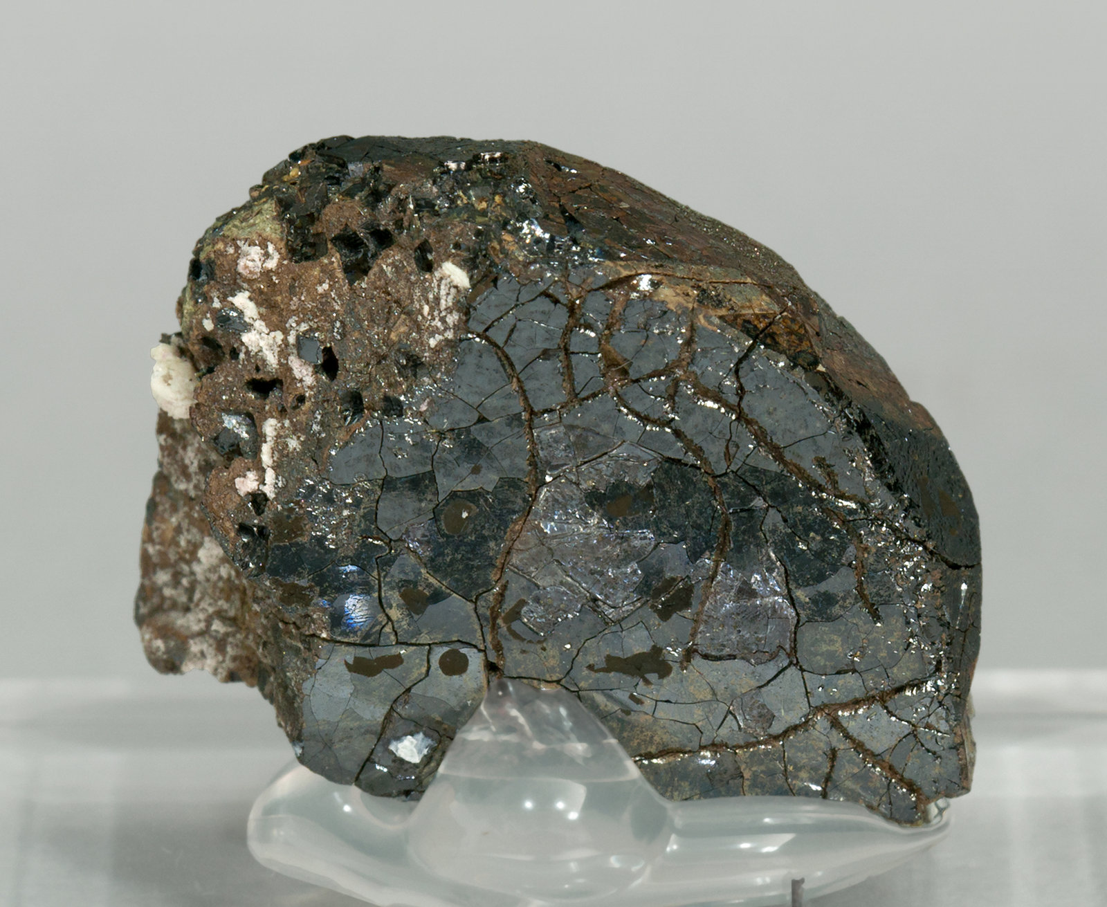 specimens/s_imagesY1/Almeidaite-EM29Y1r.jpg