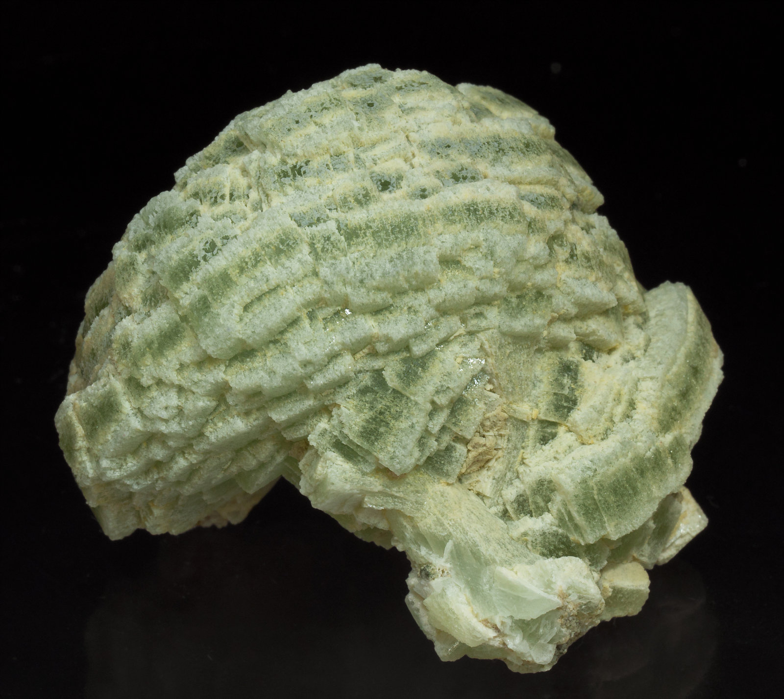 specimens/s_imagesY1/Prehnite-EM9Y1f.jpg