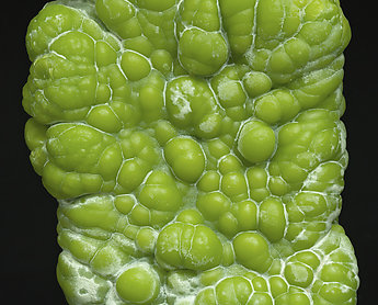 Piromorfita cálcica (variedad polysphaerita). 