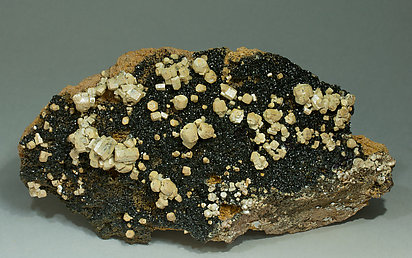 Vanadinite (variety arsenic-bearing vanadinite) with Mottramite.