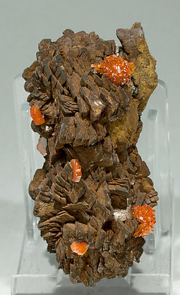 Vanadinite with Siderite.