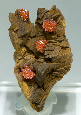 Vanadinite with Siderite.