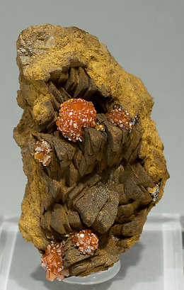 Vanadinite with Siderite.