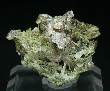 Silver with Actinolite.