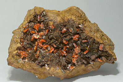 Vanadinite with Siderite. 