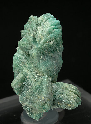 Borcarite with Cahnite. Side