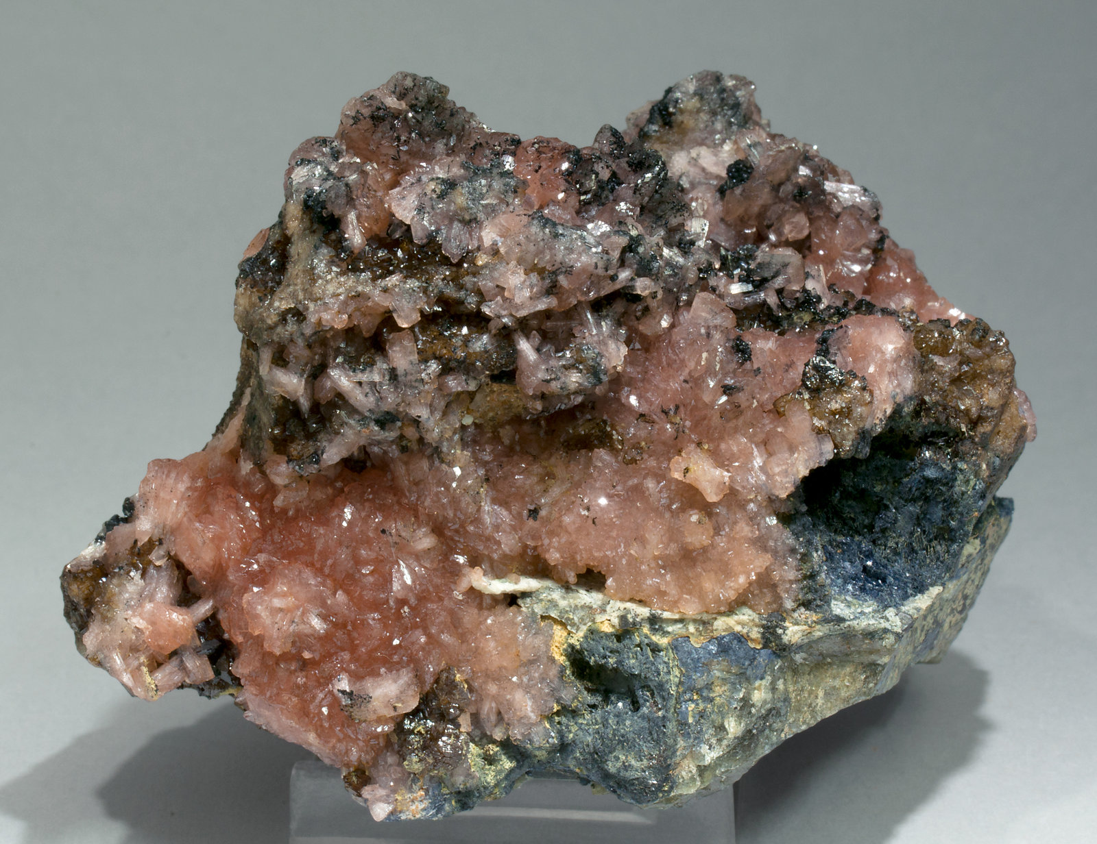 specimens/s_imagesY3/Correianevesite-EX49Y3s.jpg