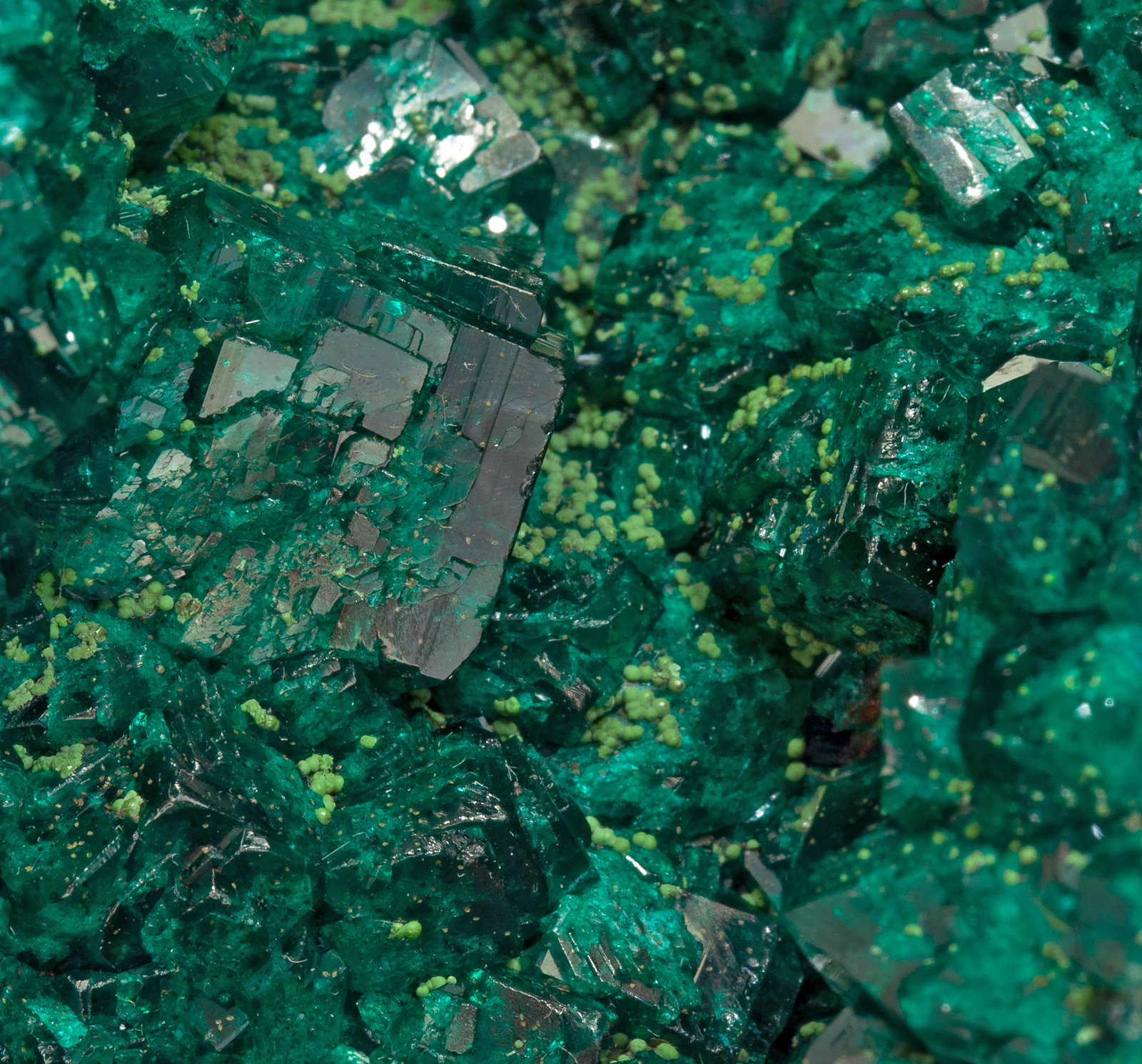 specimens/s_imagesY3/Dioptase-TP91Y3d.jpg