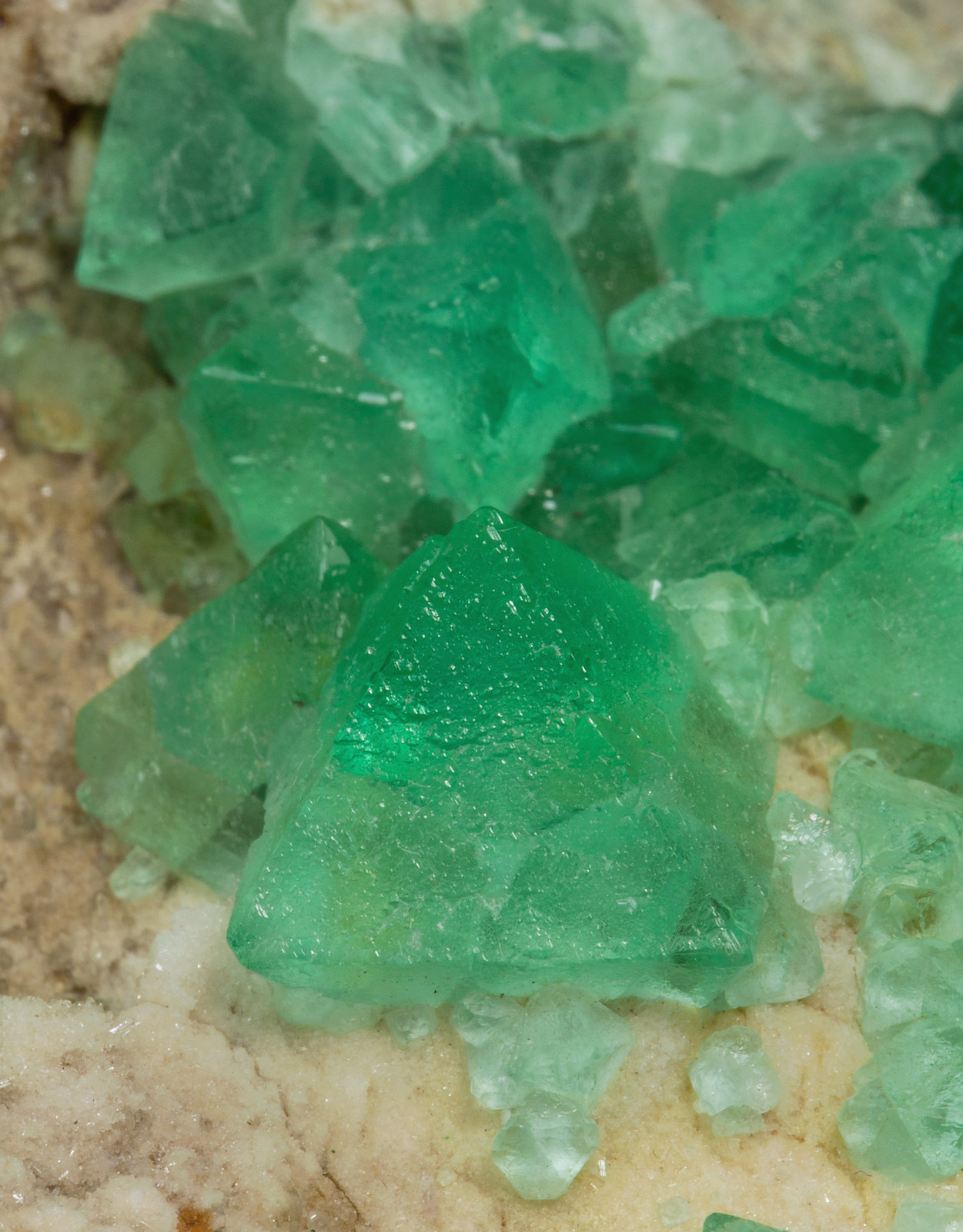 specimens/s_imagesY3/Fluorite-NA36Y3d.jpg