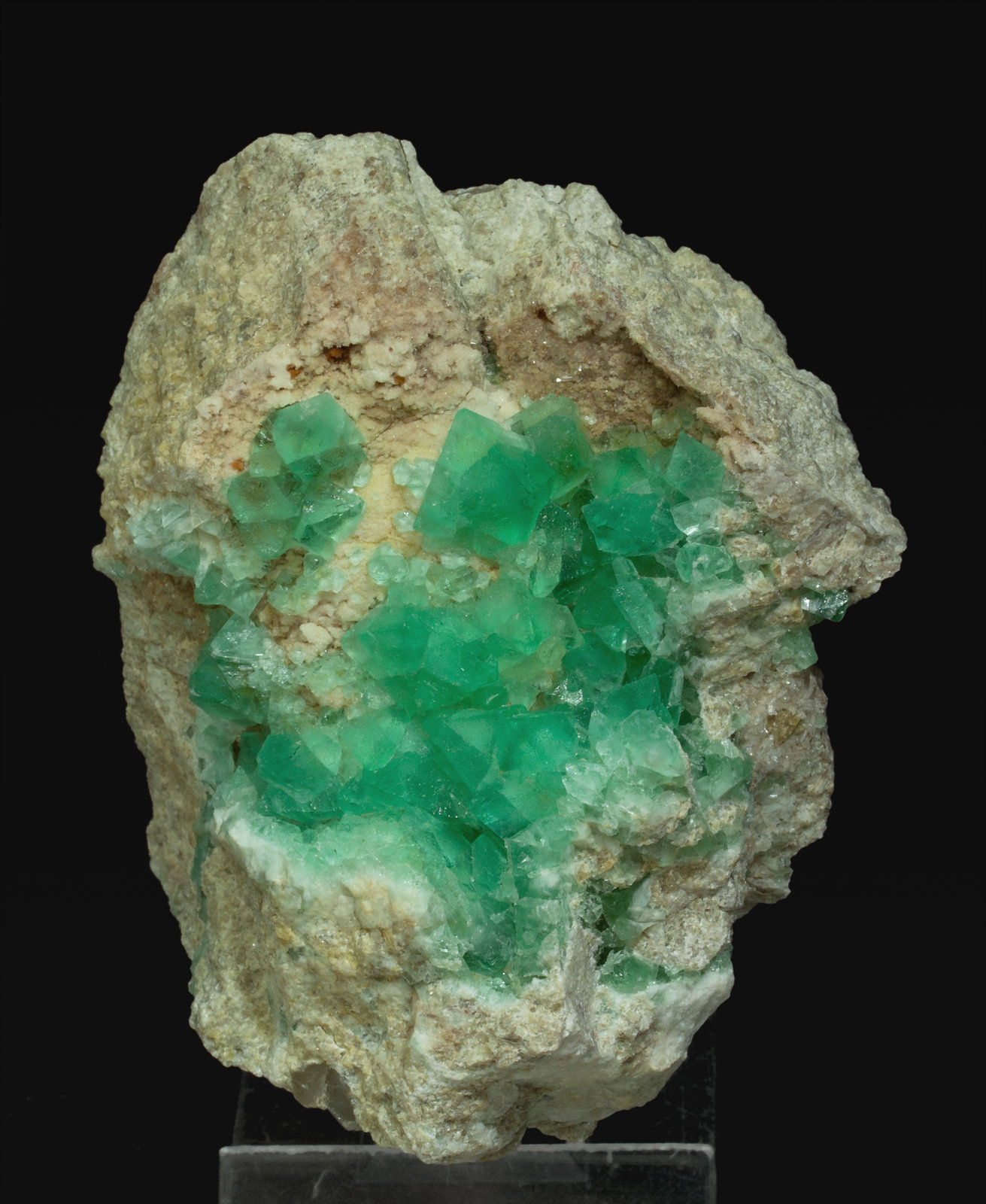 specimens/s_imagesY3/Fluorite-NA36Y3f.jpg