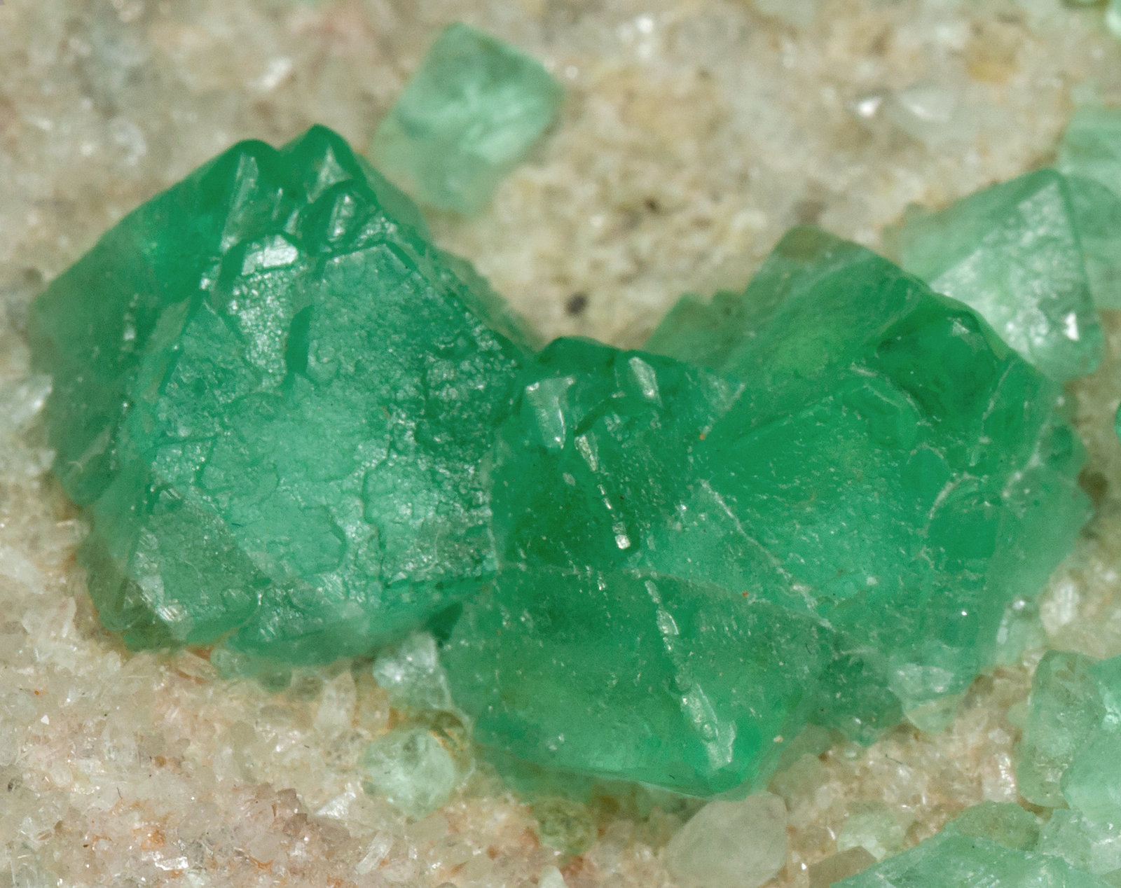 specimens/s_imagesY3/Fluorite-NC37Y3d2.jpg