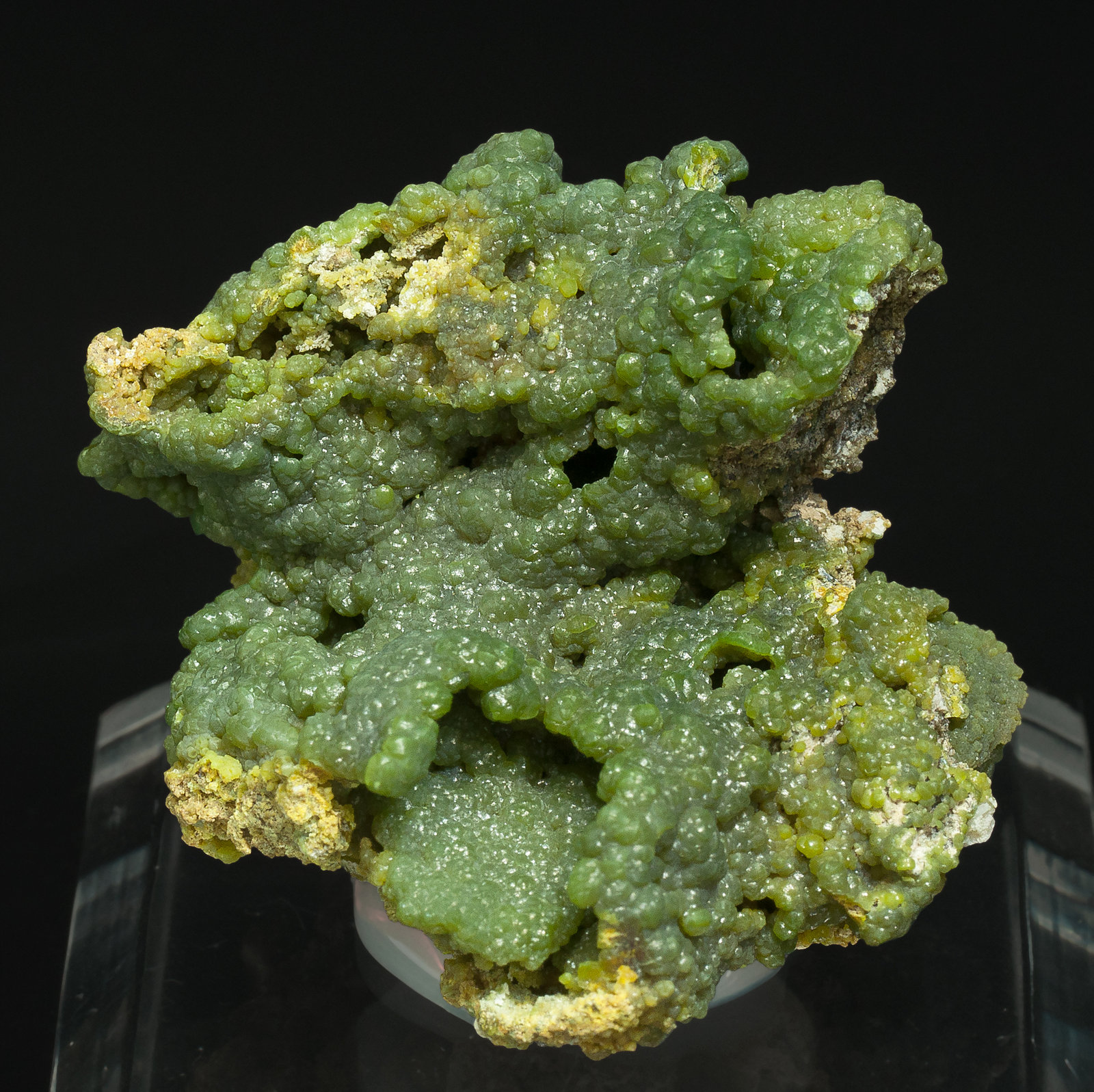 specimens/s_imagesY3/Pyromorphite-MA86Y3f.jpg