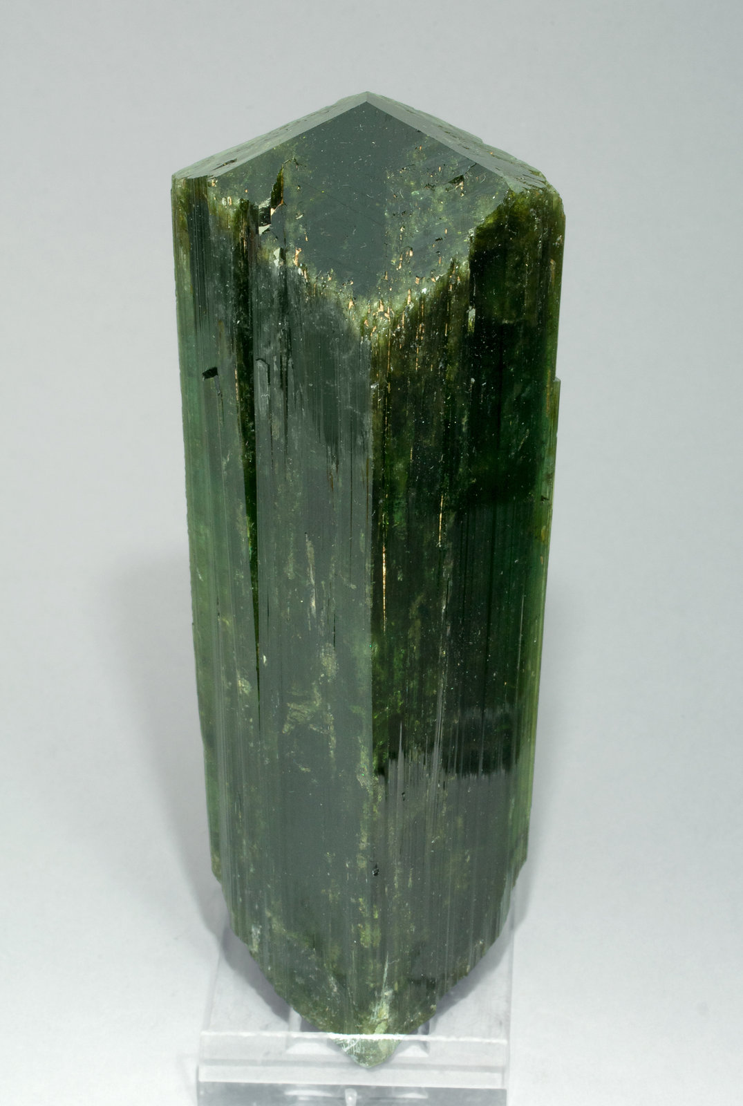 specimens/s_imagesY4/Elbaite-VA27Y4f.jpg